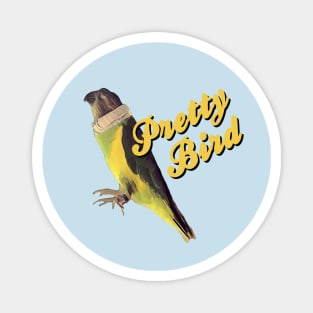 Pretty Bird - Dumb and Dumber. Magnet